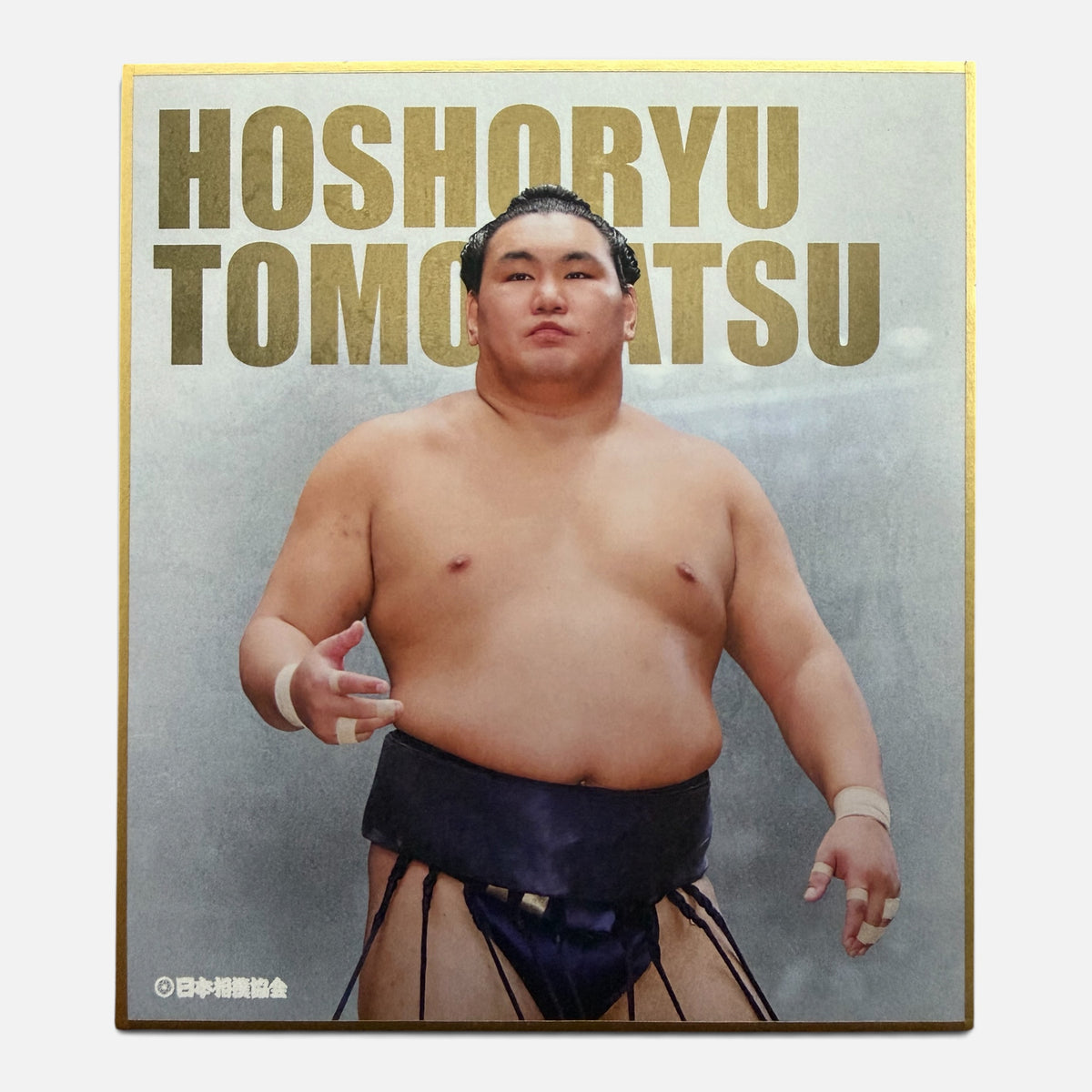 Hoshoryu Fan Card